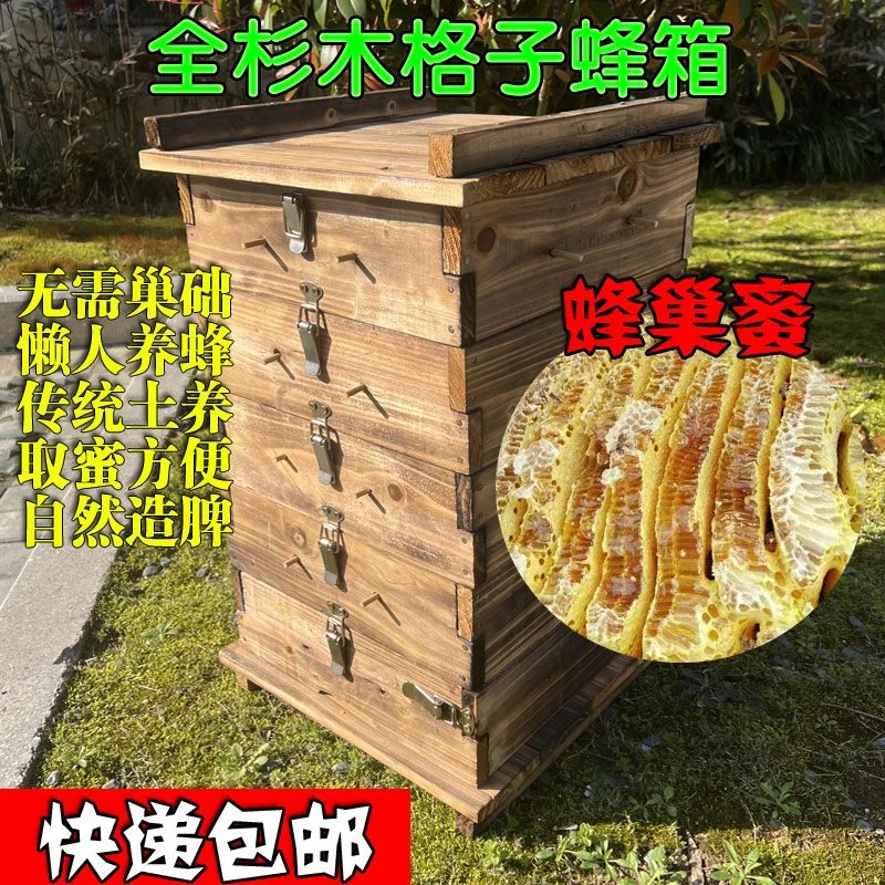养蜂专用五层杉木中蜂格子箱诱蜂箱饲喂土养箱巢蜜箱懒人养蜂厚