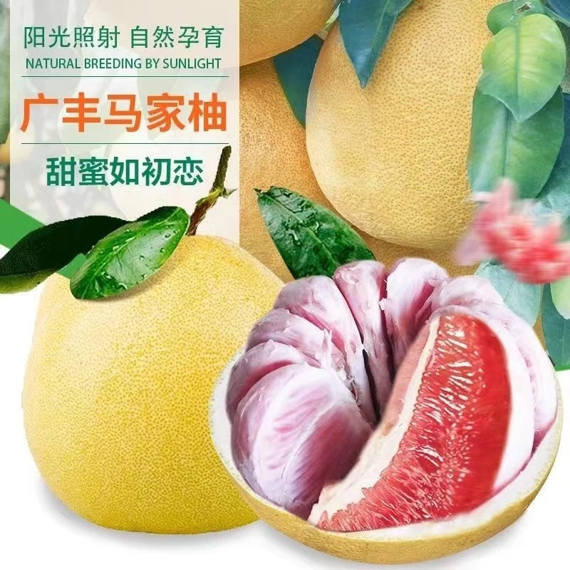【正宗广丰马家柚批发5块包邮】