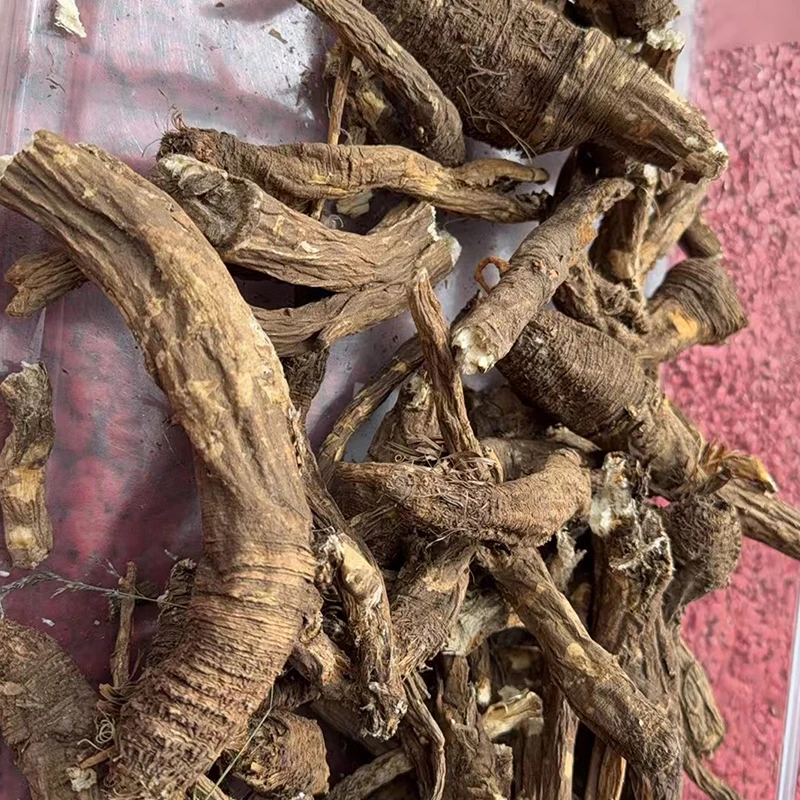 西藏林芝土特产当归