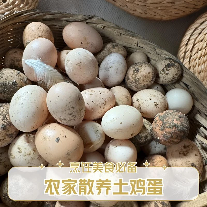 新化县众鑫生态养殖场（30枚）土鸡蛋 大山散养