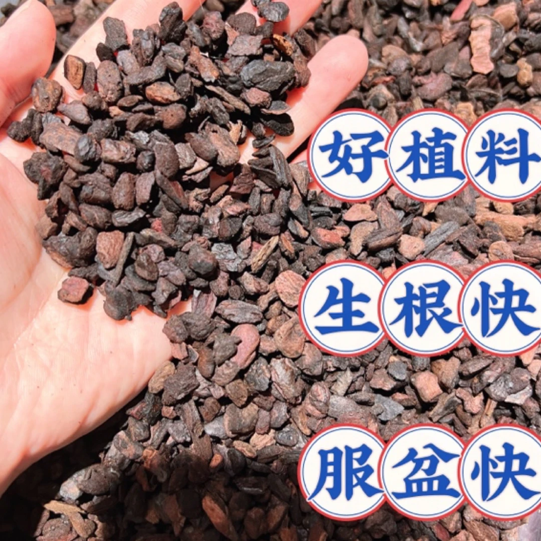 趣植元益生菌发酵蝴蝶兰兰花兰花土专用土栽种生根养根颗粒植料