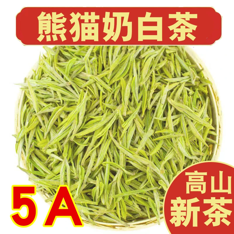 奶白茶【奶白茶5A】奶香新茶高山绿茶茶叶黄金芽白茶鲜甜