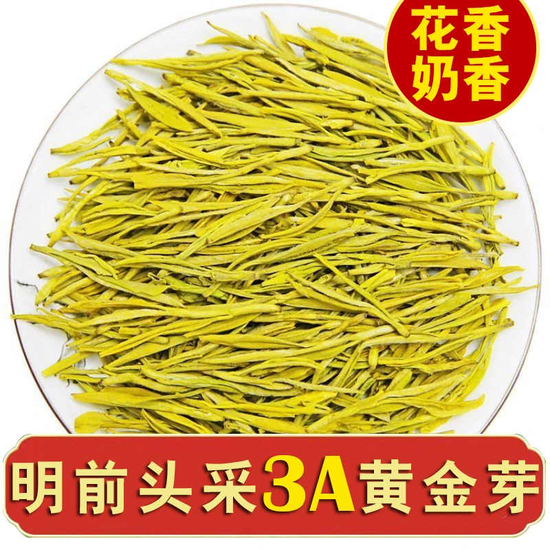 安吉黄金芽【头采3A】2025新茶高山花香豆香浓香耐泡鲜香爽口礼盒装