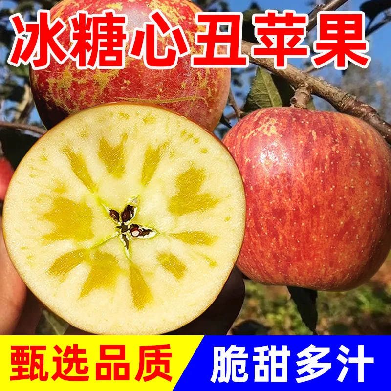 大凉山盐源丑苹果冰糖心新鲜水果红富士当季果园现摘整箱3/5/9斤