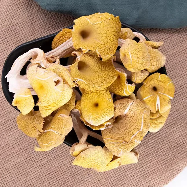 【鸡-油-菌】云南高原高山鸡-油-菌250g克新鲜自然晾晒