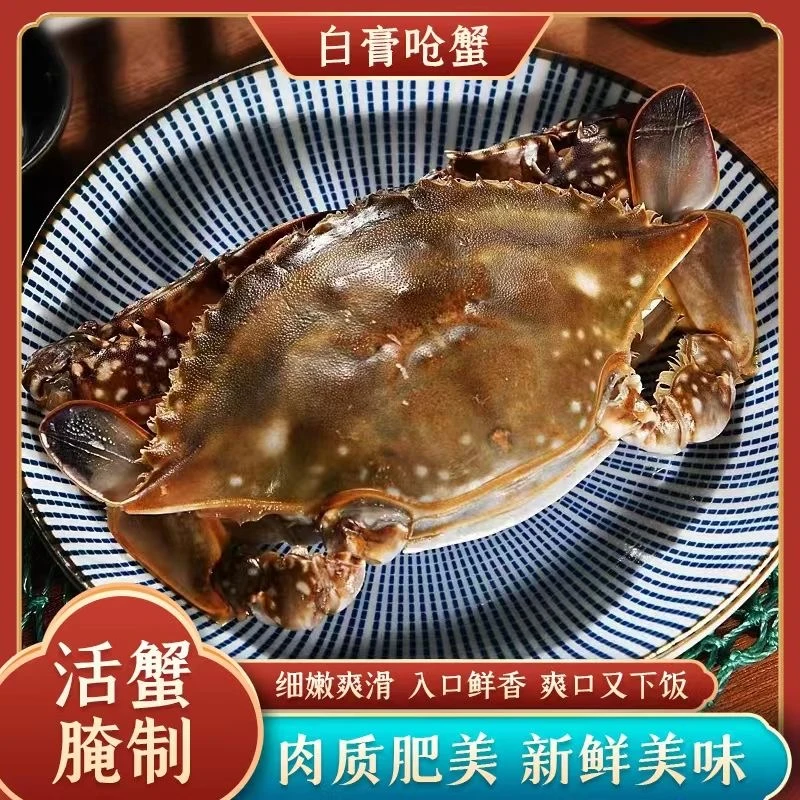 舟山呛蟹4至6两白膏呛蟹非红膏码头直发顺丰包邮宁波特产冷冻腌制