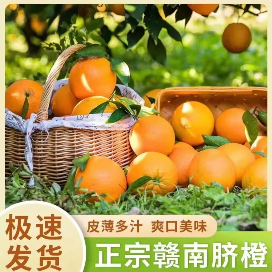【二十斤囤货装】香甜多汁正宗赣南脐橙 产地直发 现采现发新鲜橙子