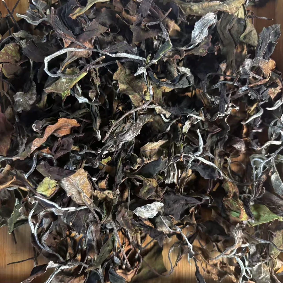 【摇青+炭焙工艺】寒露 2024年老班章古树白茶散茶