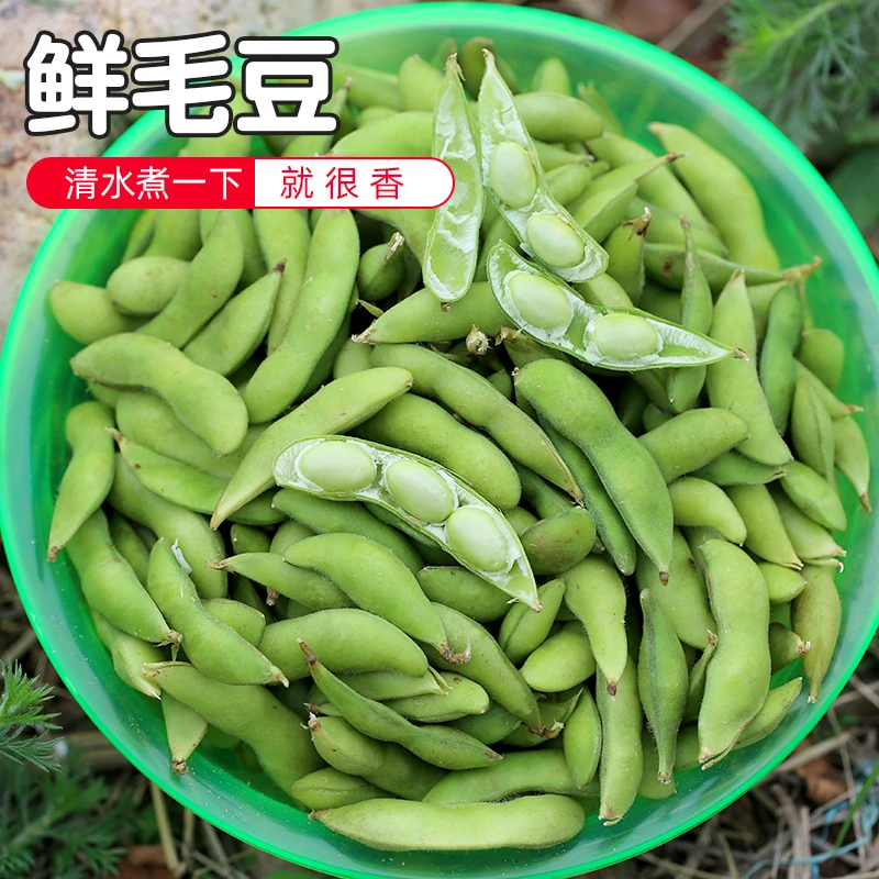 【顺丰】江苏新鲜毛豆农家蔬菜现摘新鲜嫩毛豆荚带壳青大豆当季蔬菜