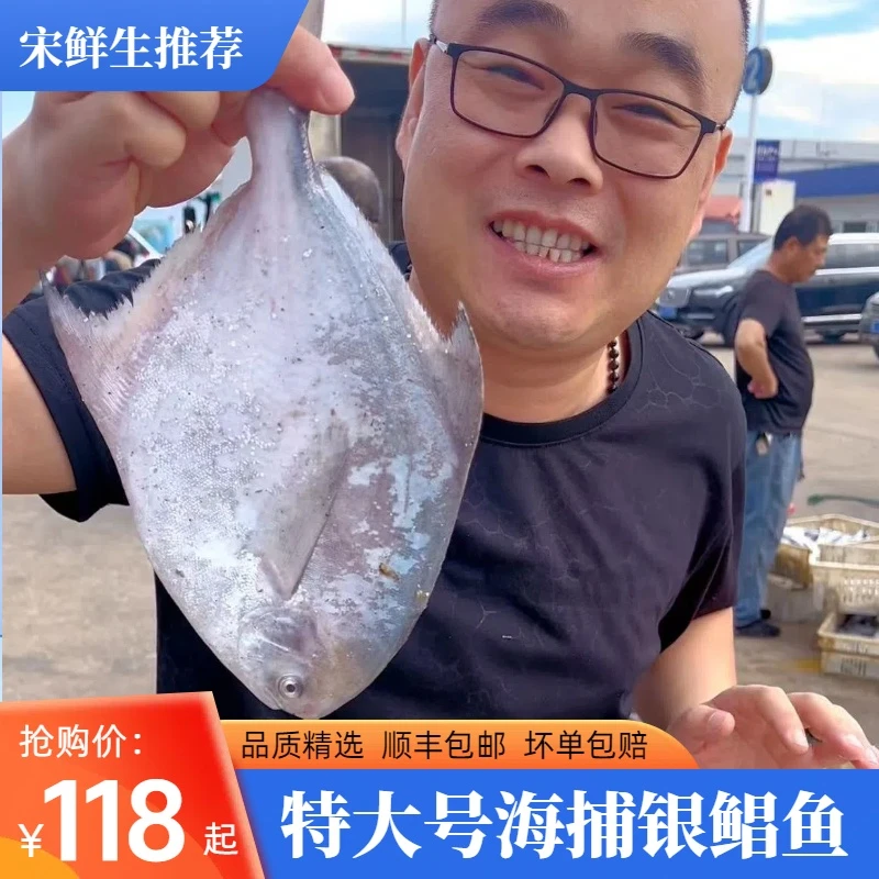 【顺丰包邮】特大号新鲜海捕银鲳鱼 深海银鲳鱼肉质细腻(500g/包)