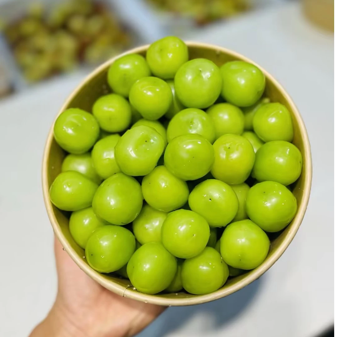 高原产区 阳光玫瑰葡萄  果粒300g