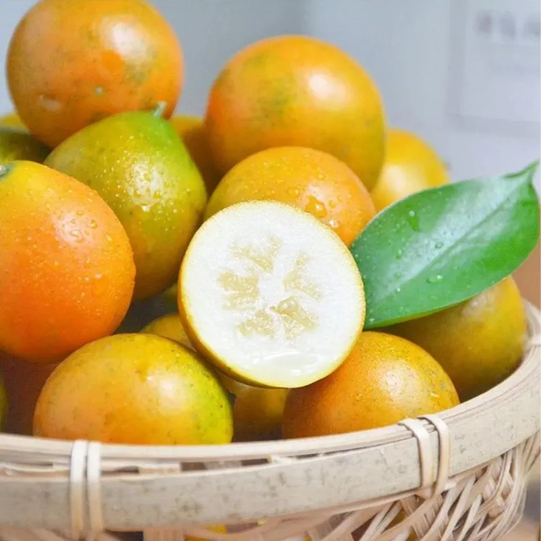 【花果山】滑皮金桔 400g