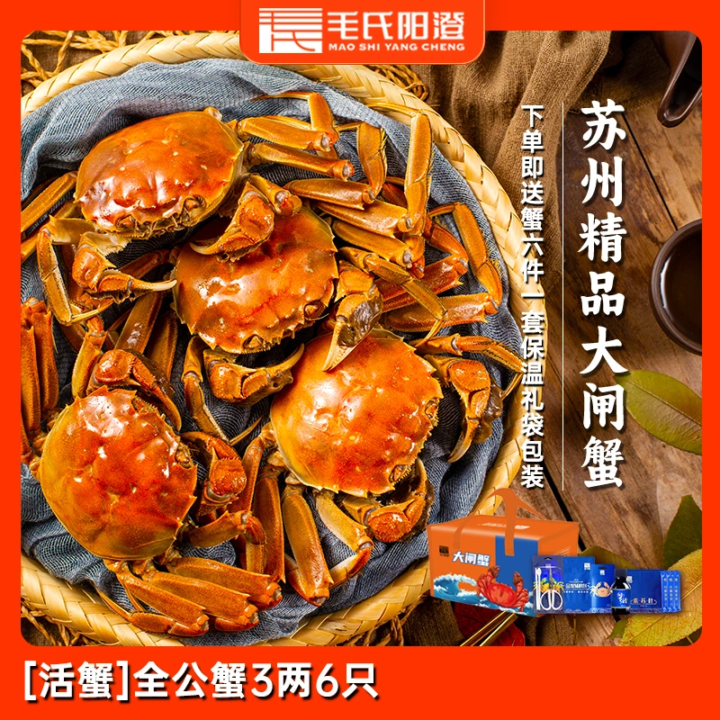 苏州精品毛氏大闸蟹  全公蟹3两6只【黄】