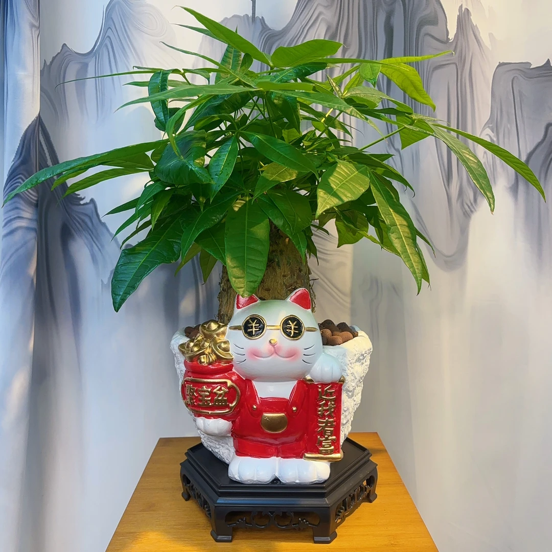 招财猫陶瓷盆室内高端盆景
