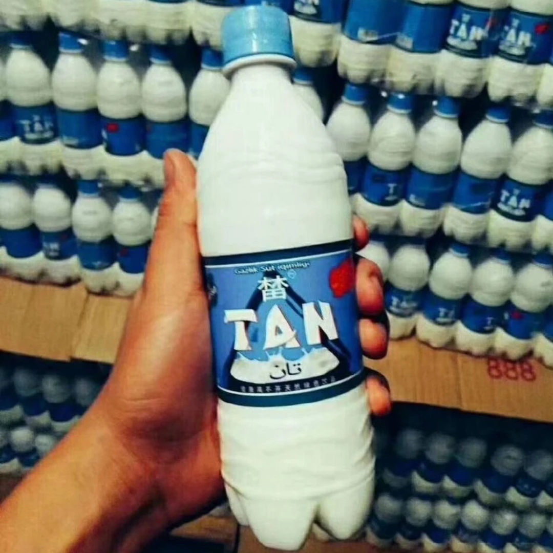 TAN榃爆款乳酸菌饮料含乳饮料500ml乳味汽水