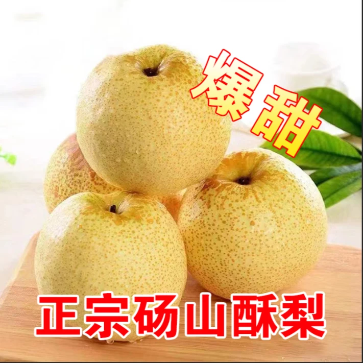 正宗安徽砀山砀山梨无渣蜜梨脆甜多汁5斤/9斤皮薄梨子脆甜梨子