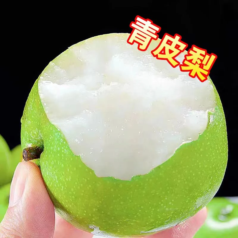 砀山皇冠梨青皮蜜梨脆甜无渣汁水新鲜水果梨砀山梨脆甜梨子