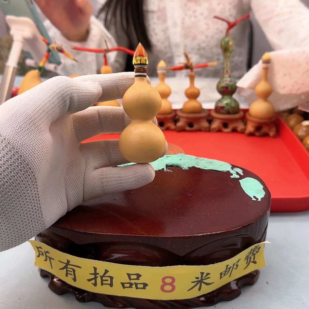 【闪购商品】天然葫芦螺*钉