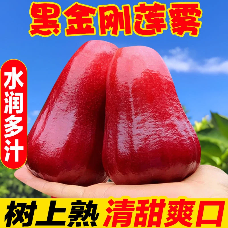 海南黑金刚莲雾新鲜水果整箱莲雾果热带雾连当季包邮孕妇仙女果