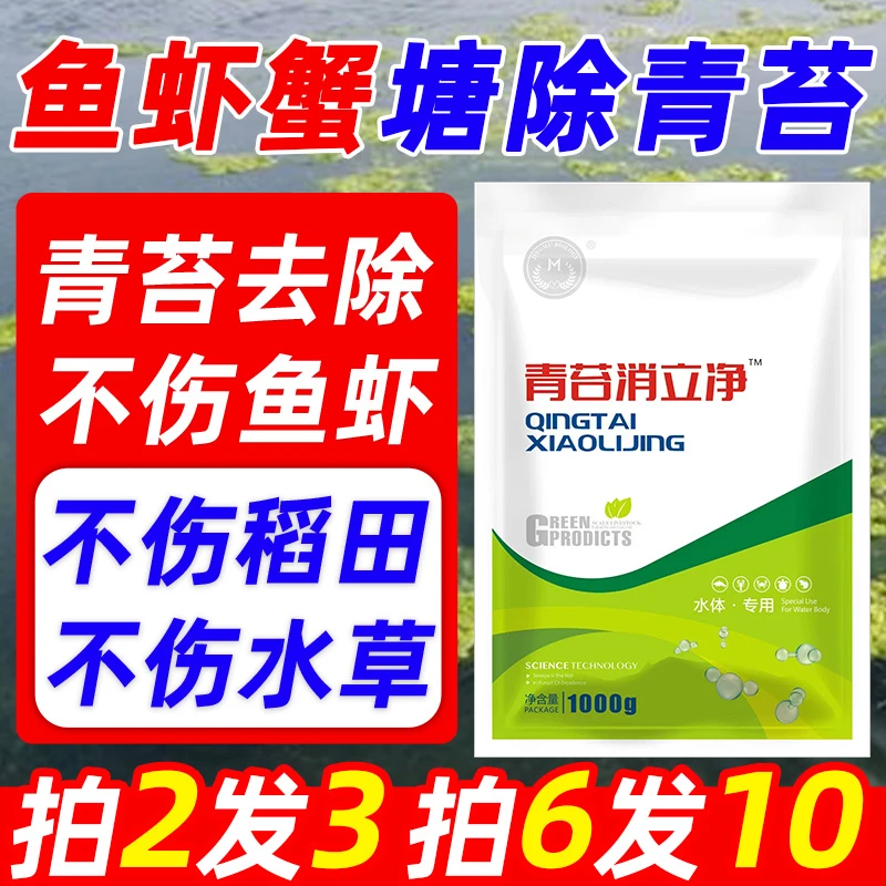 青苔去除剂不伤鱼虾蟹不伤水草青苔净水产养殖除青苔快速清除青苔