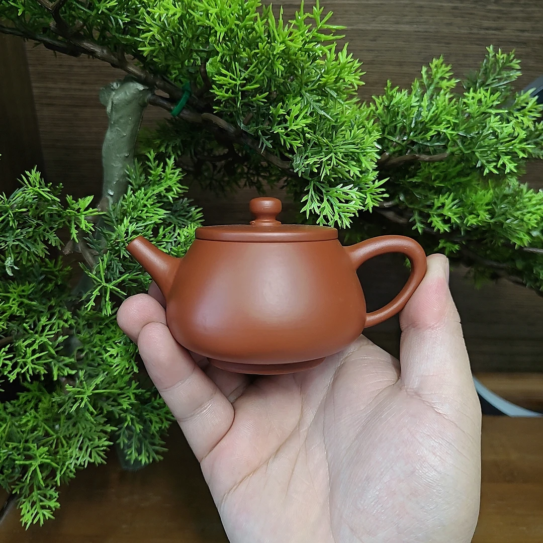 潮州朱泥手拉壶石瓢壶实用器原矿朱泥入门级纯手工拉胚  100毫升
