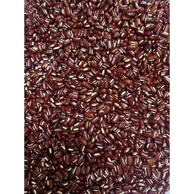 精选无硫赤小豆 姬松茸煲汤