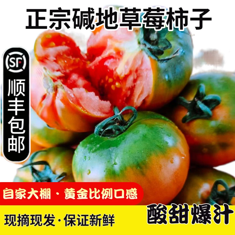 【顺丰包邮】大连碱地草莓柿子【张哥小萍自家大棚】水果番茄【西红柿】