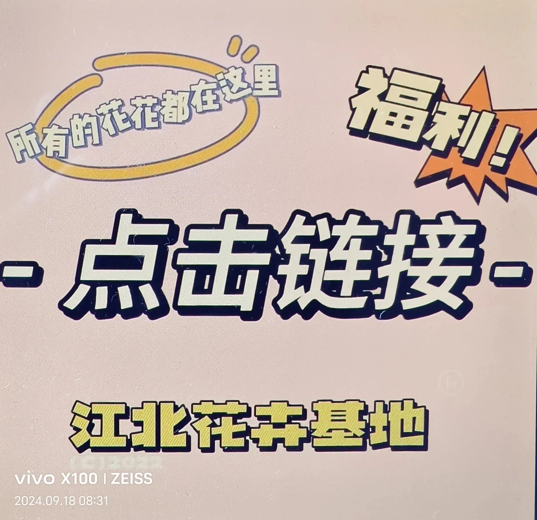 补差价链接直拍即可花卉盆栽苗木地被庭院绿植