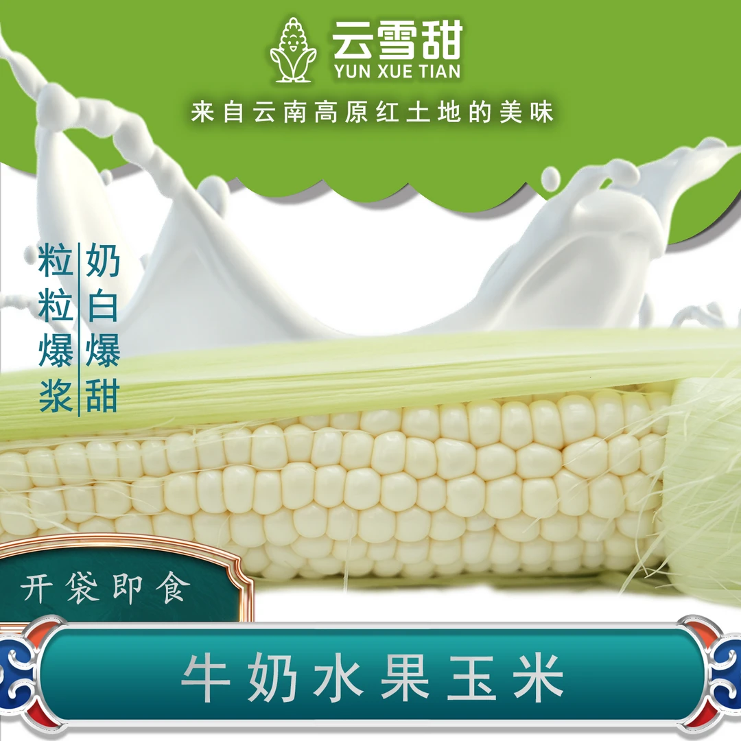 云雪甜网红牛奶玉米可生吃清甜爆汁水果玉米新鲜可榨汁3斤装4-5根