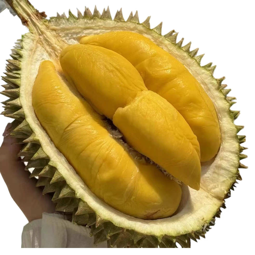 马来西亚D197猫山王 榴莲 当季新果 海口同城包开包送【好东西】液氮冷冻榴莲（2.5-4.5斤）猫山王马来西亚