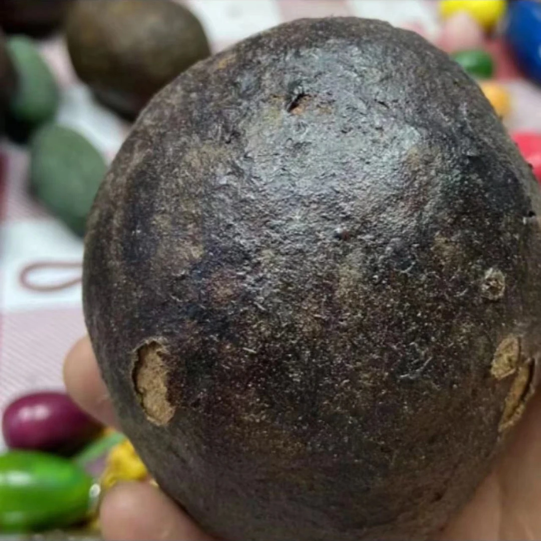 浮力-送一号车果1个【狠货大果】风华菩提果