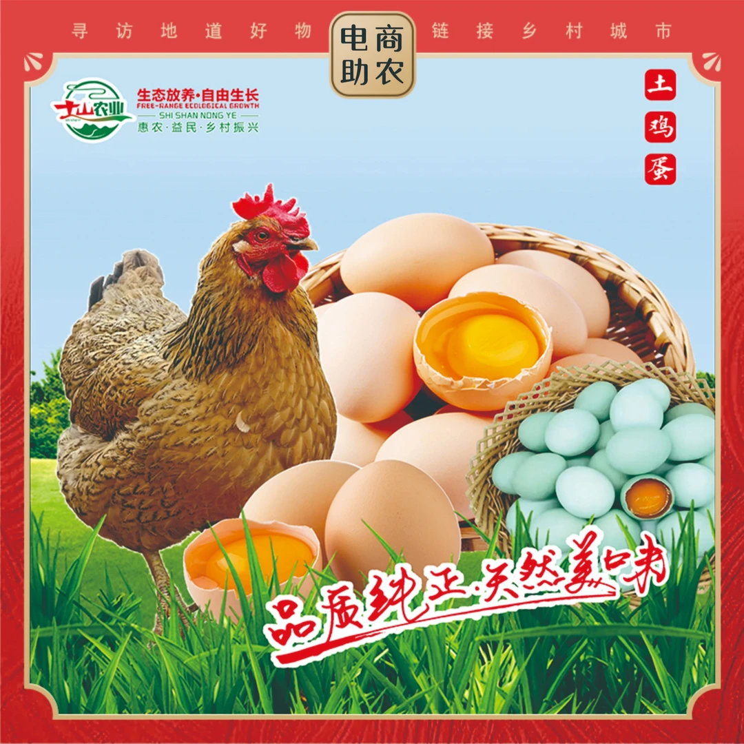 【土鸡蛋】湘西南雪峰山脚下乡村散养土鸡蛋绿壳自产营养健康农产品