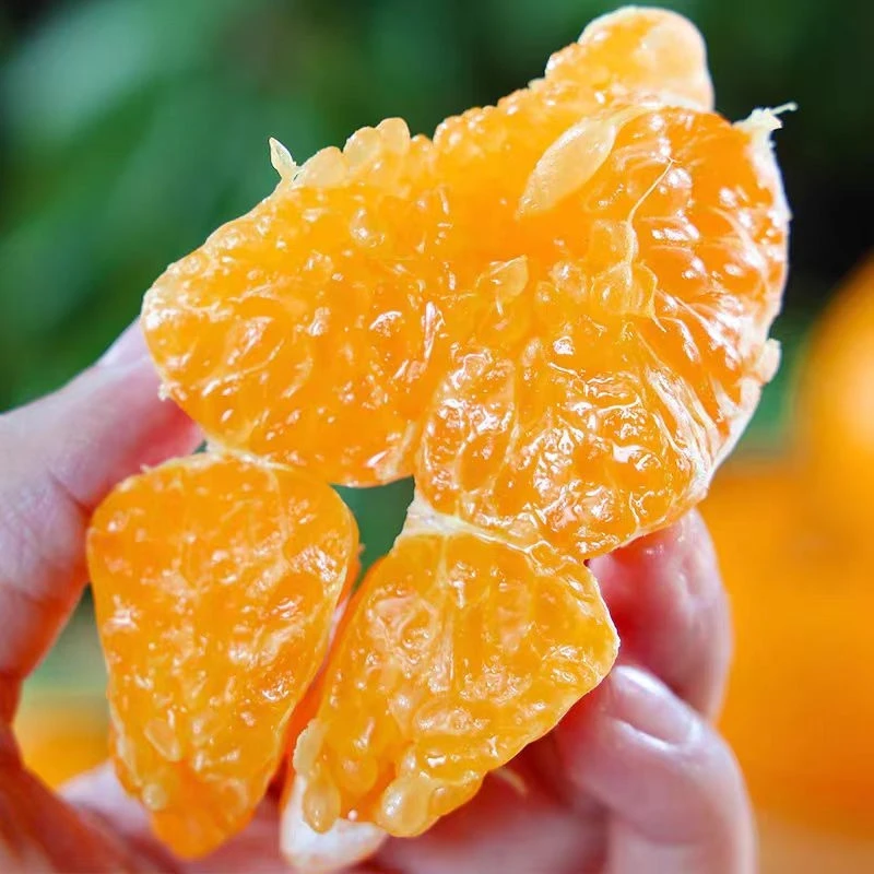 【同城配送】爆汁粑粑柑1箱  （5斤左右）