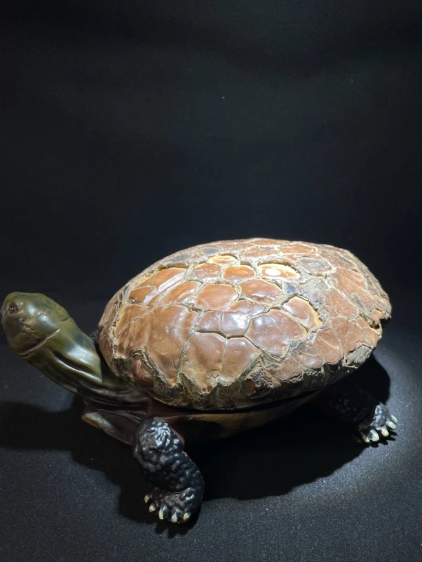 精品龟纹石 大龟壳石 老石精品原石 收藏石 水冲石