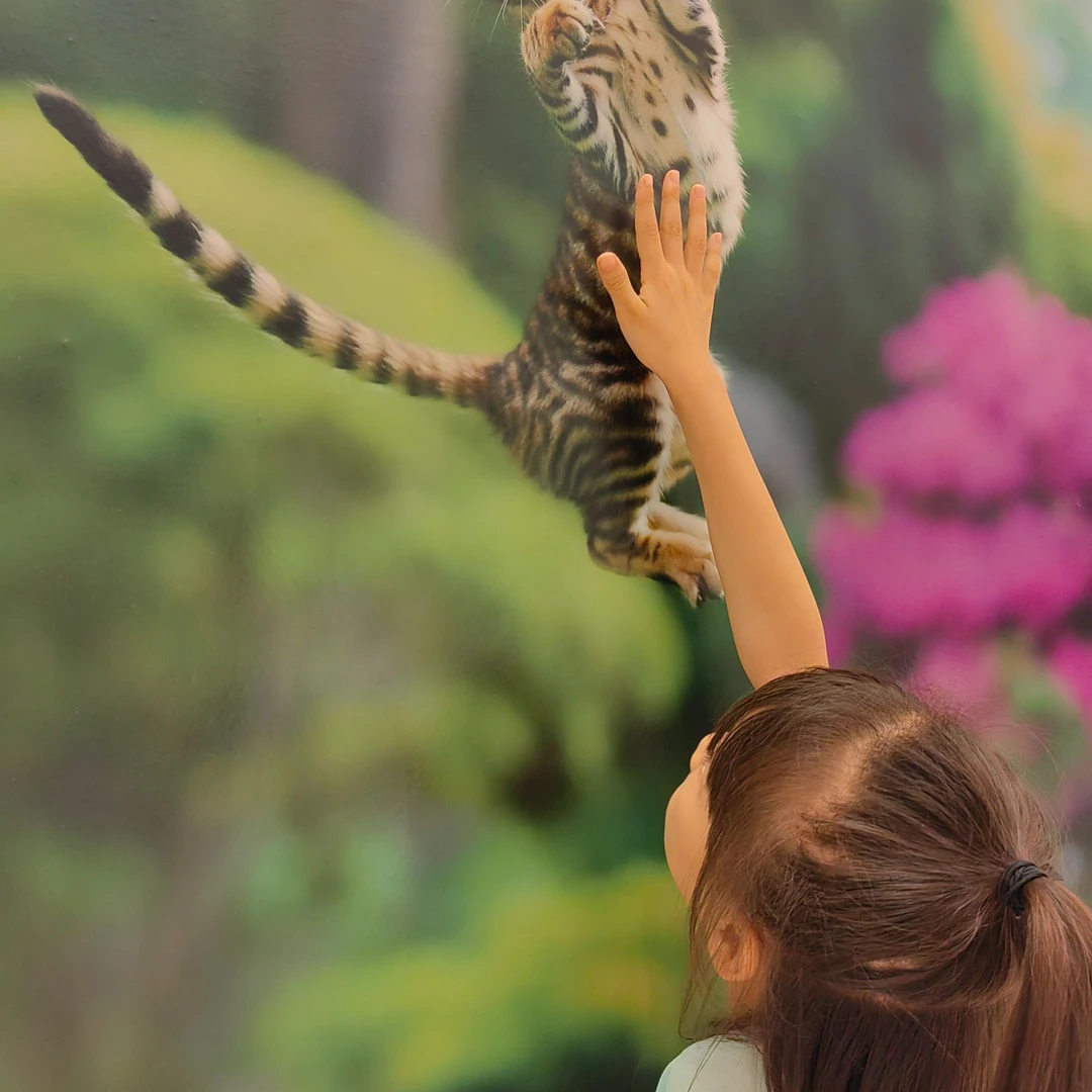 夏季女装连衣裙气质日常少女国风宽松连衣裙百搭复古古风学生文艺