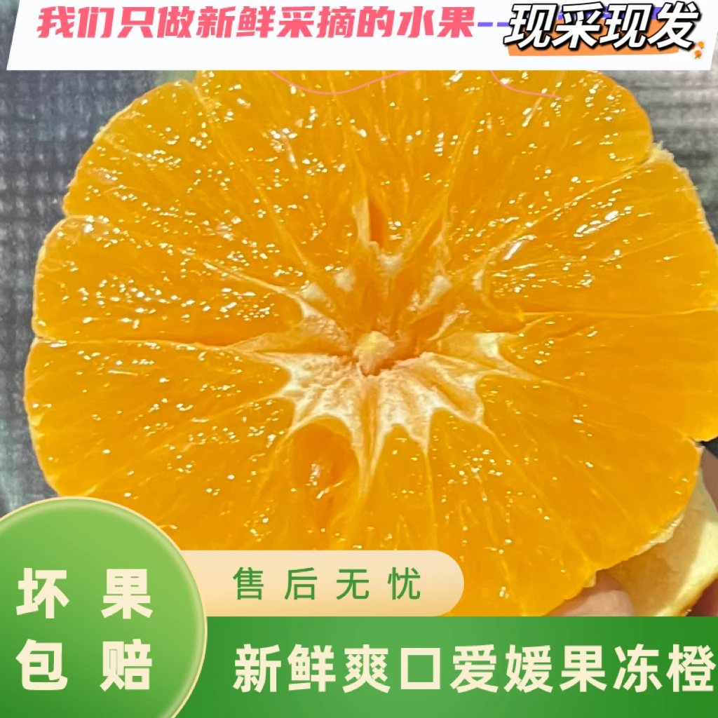 四川爱媛38号果冻橙甜橙子5斤手剥当季头茬