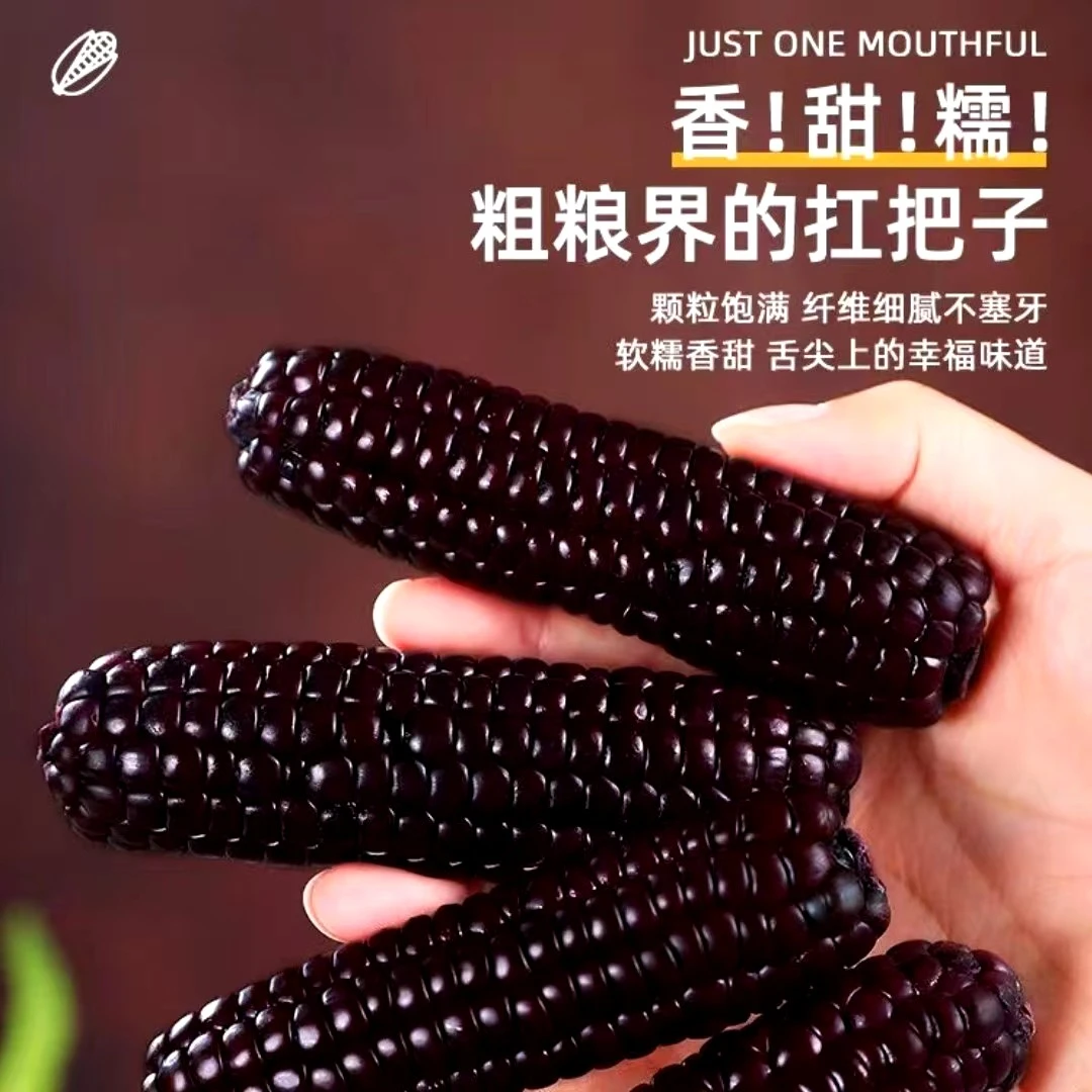 拇指紫玉米西双版纳香甜软糯早餐真空包装加热即食新鲜采摘