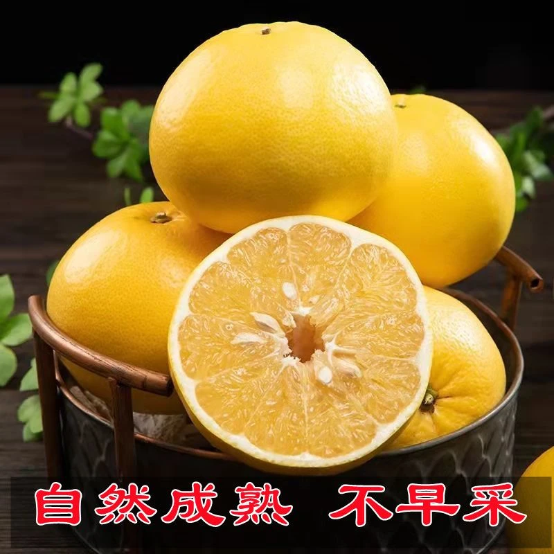 黄金葡萄柚新鲜薄皮大果福建漳州纯甜水果西柚散装非临期包邮