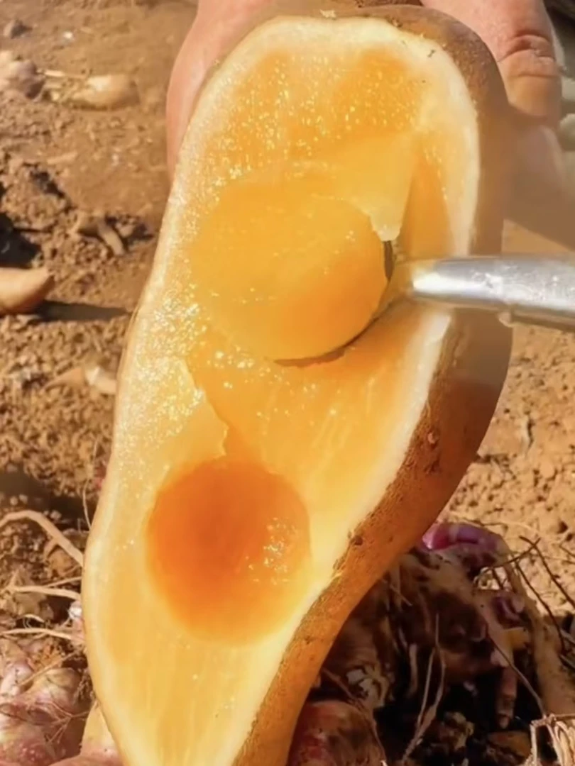 【头茬】正宗天山雪莲果红心新鲜脆甜水果