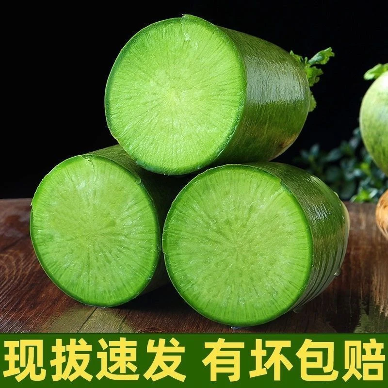 山东寿光新鲜水果萝卜农家自种新鲜蔬菜青萝卜批发产地包邮