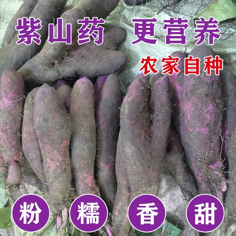 2025年现挖新鲜紫山药紫淮山脚板薯紫玉淮山紫大薯农家蔬菜种植