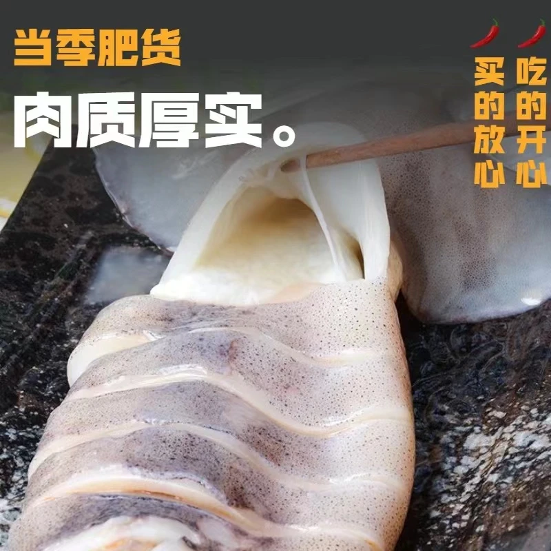 鱿鱼山东威海发货5斤新鲜严选海捕厚实产地