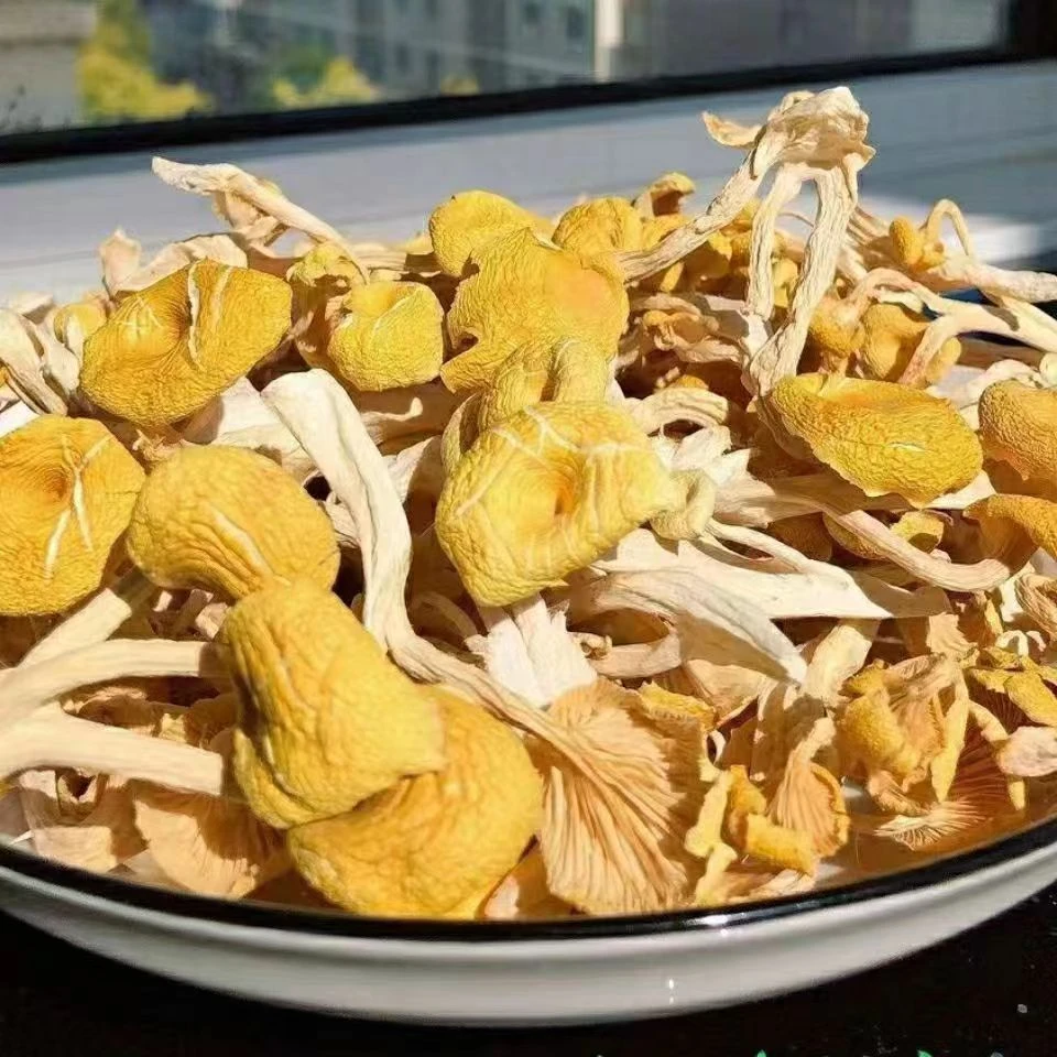 湘西农家鸡油菌包邮老百姓自产自销干净卫生