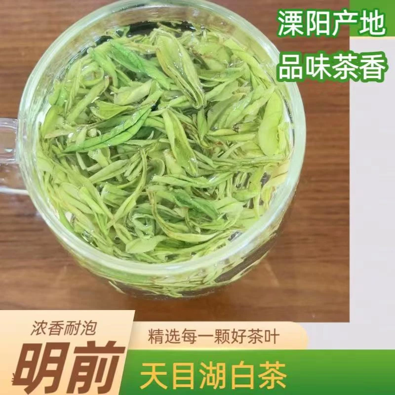 【天目湖白茶】明前茶 香味特别好50克 250克 500克