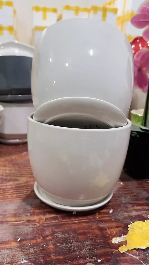 【闪购商品】陶瓷20CM以下+17-109