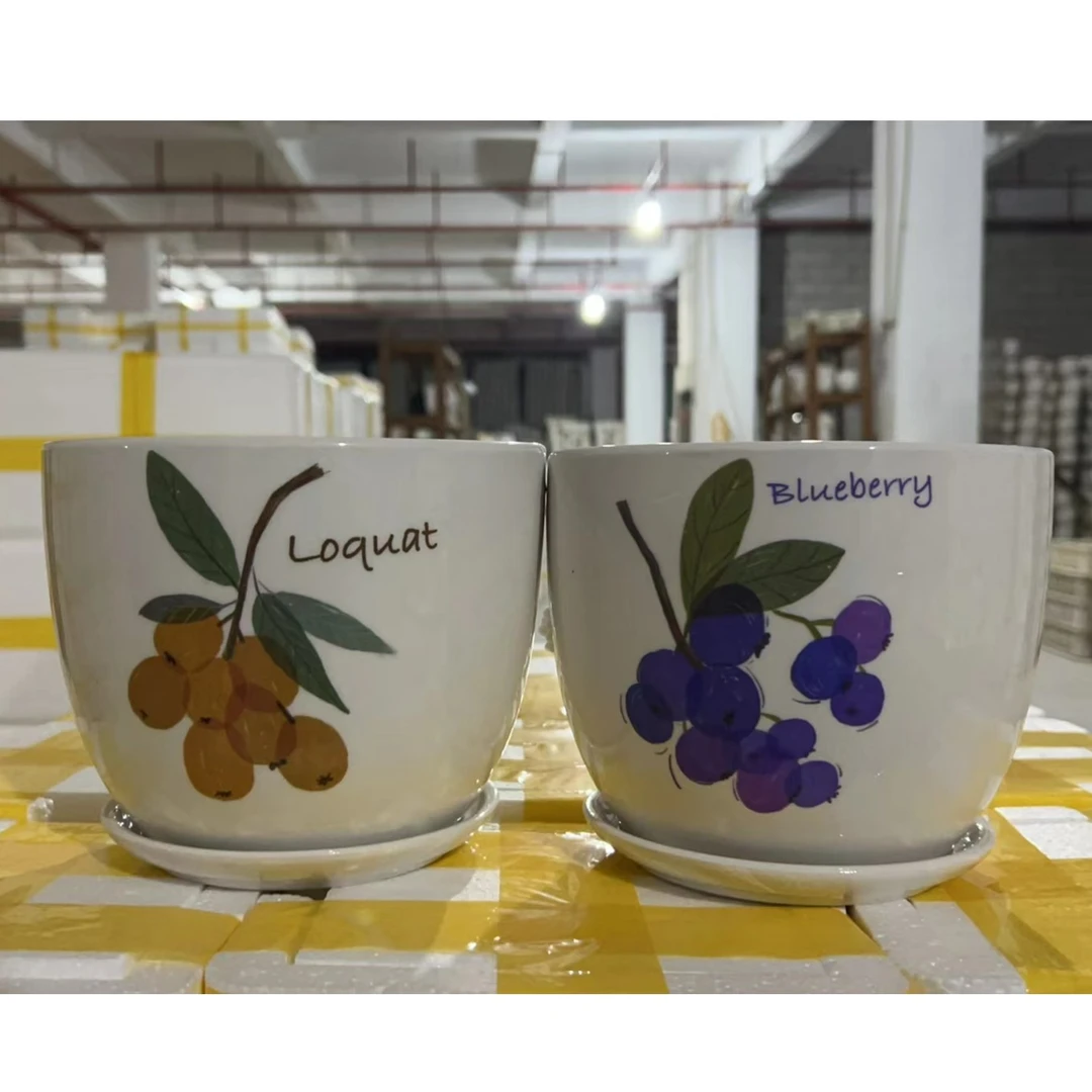 【直播专属链接】水果冰裂陶瓷花盆口17cm 高15cm到手两个（17-139）