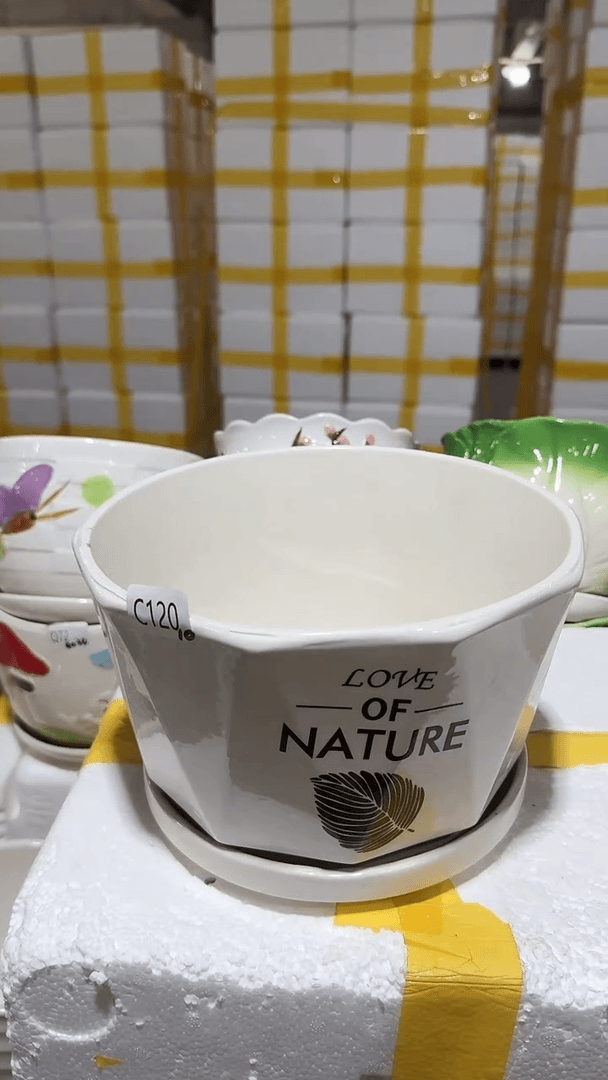 【闪购商品】陶瓷20CM以下+C120