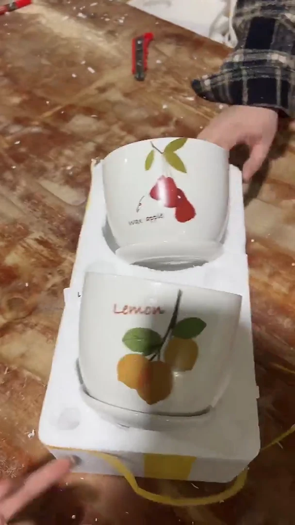 【闪购商品】陶瓷15cm以下(Q11)