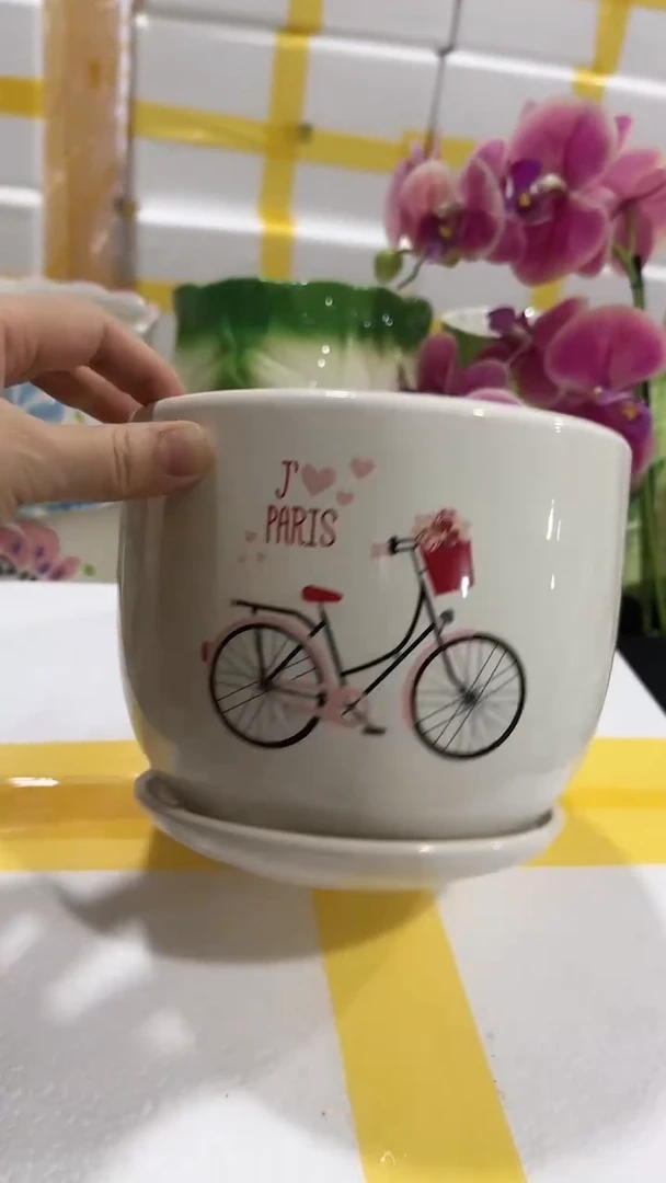 【闪购商品】陶瓷20CM以下+Z59