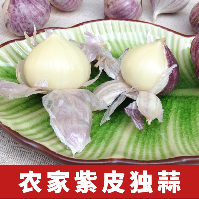 云南独头紫皮蒜大蒜新鲜独头蒜紫皮独头大蒜独蒜头500克紫蒜新货